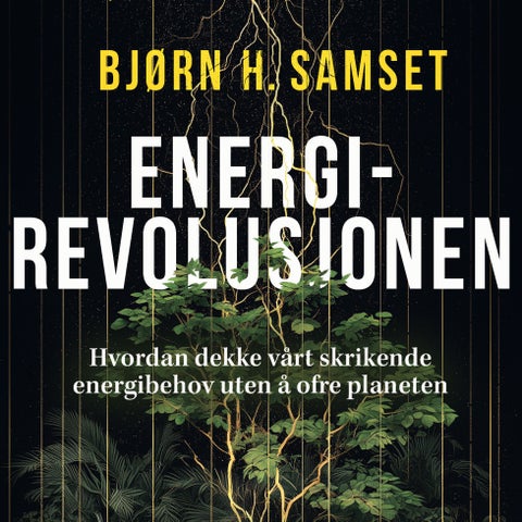Energirevolusjonen - hvordan dekke vårt skrikende energibehov uten å ofre planeten
