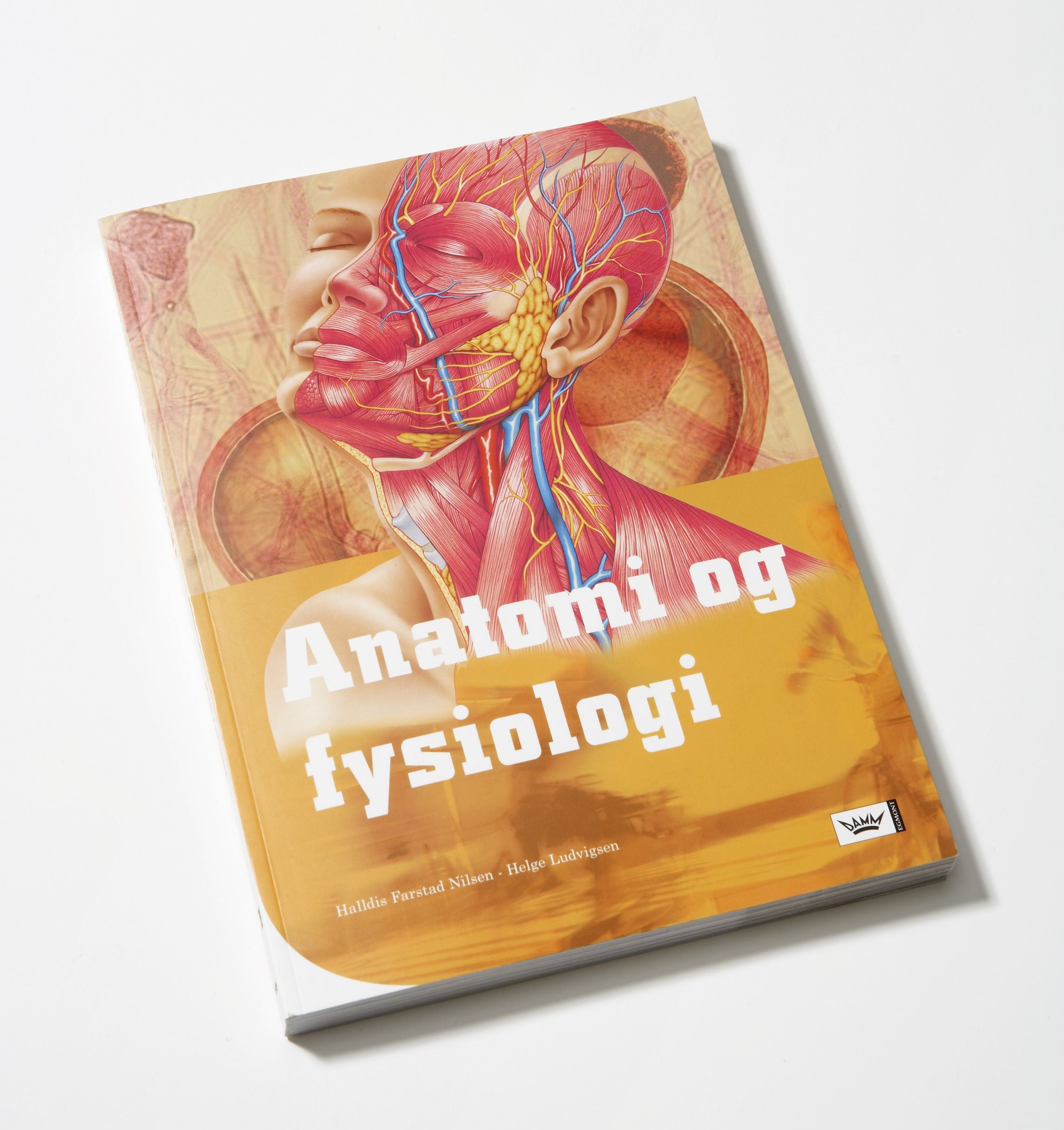 Anatomi og fysiologi