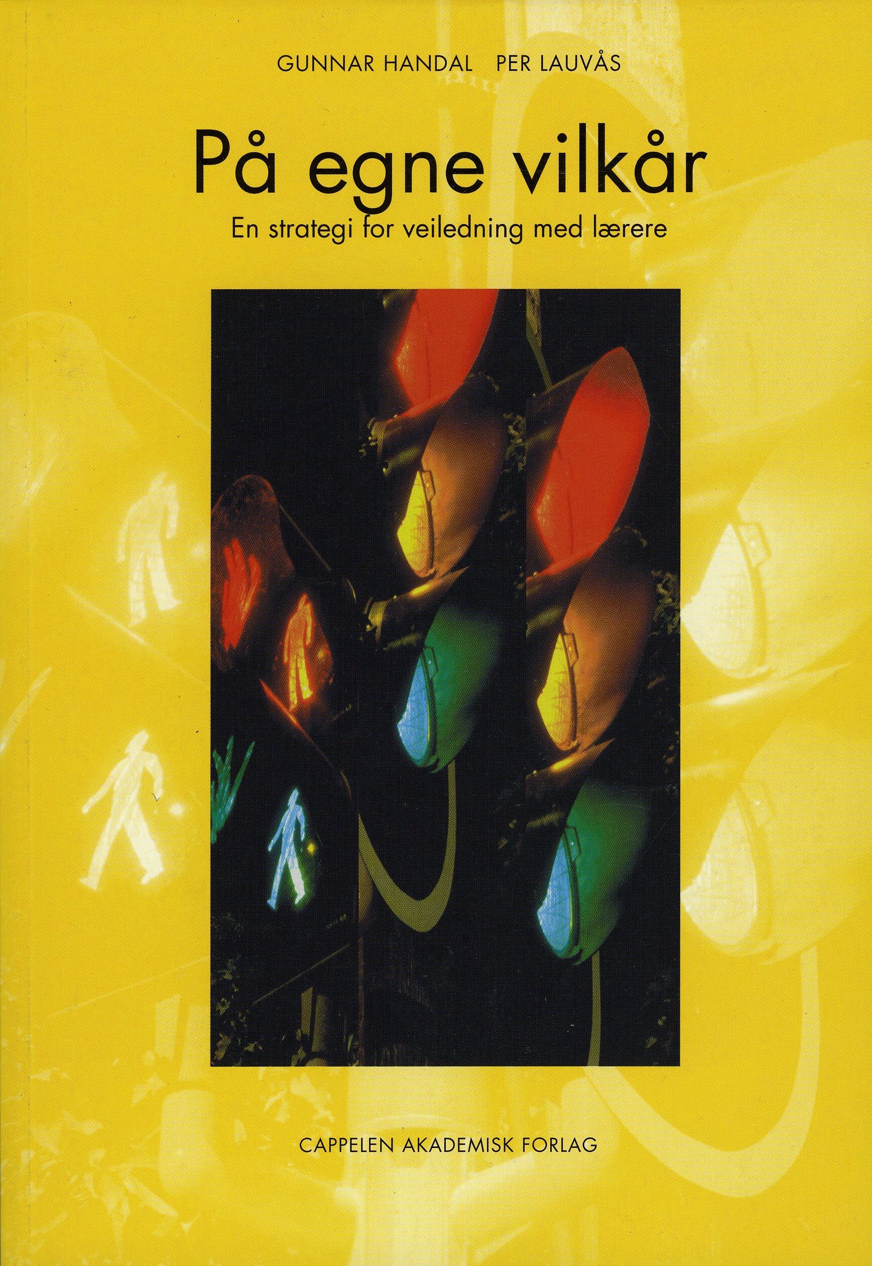 På egne vilkår - en strategi for veiledning med lærere