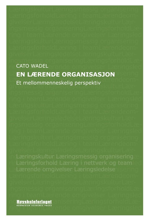En lærende organisasjon - et mellommenneskelig perspektiv
