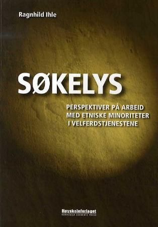 Søkelys - perspektiver på arbeid med etniske minoriteter i velferdstjenestene