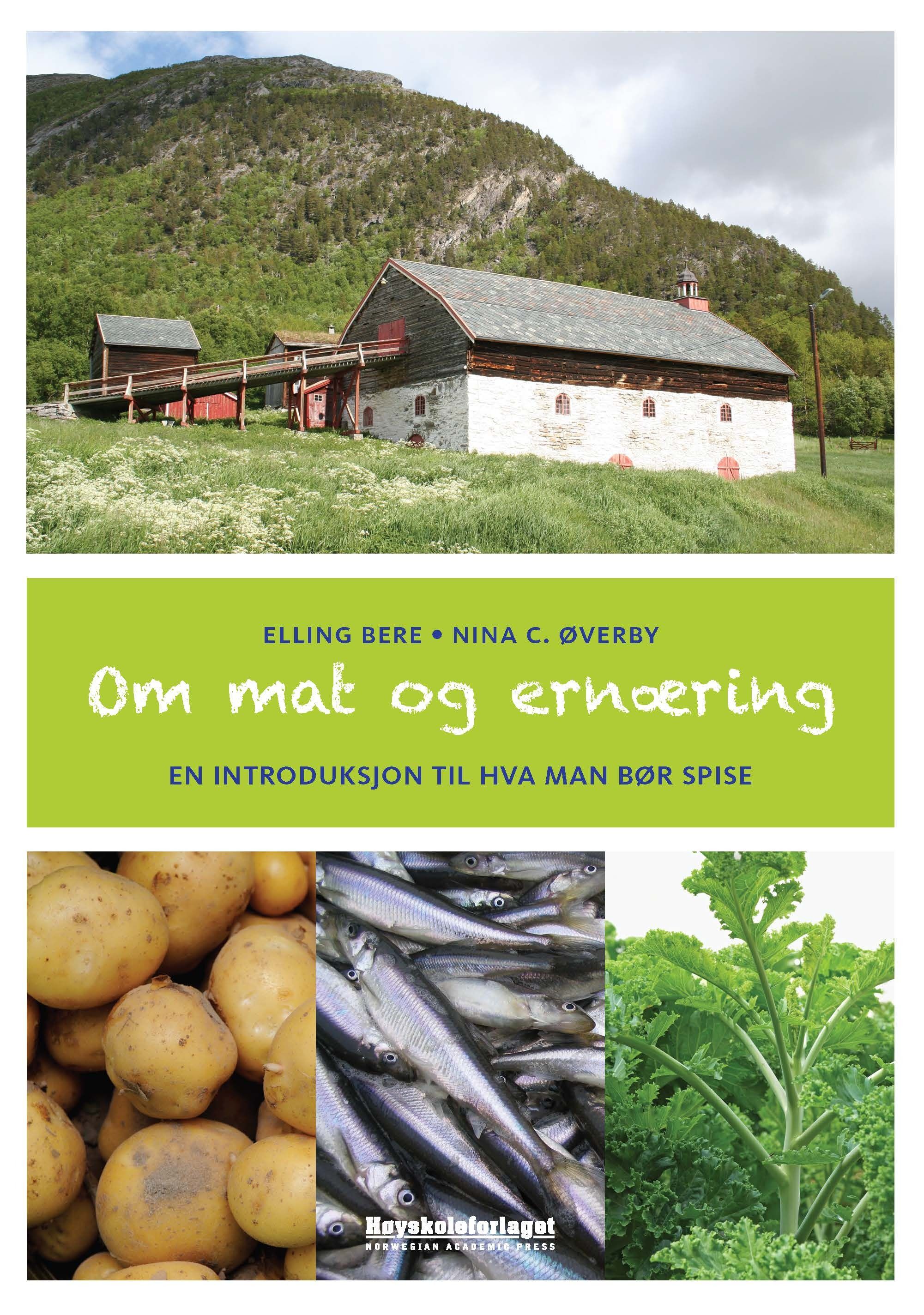 Om mat og ernæring - en introduksjon til hva man bør spise