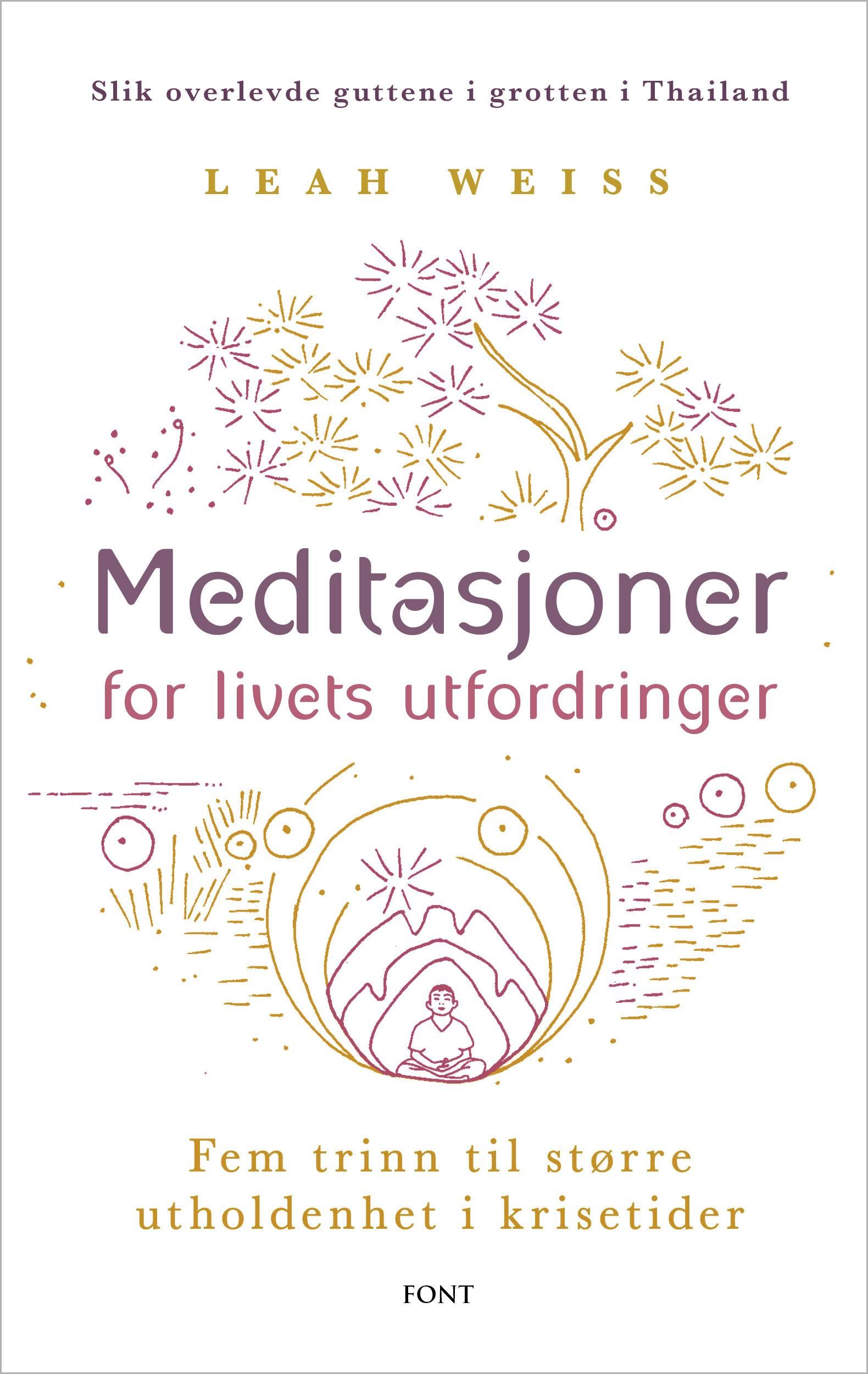 Meditasjoner for livets utfordringer - fem trinn til større utholdenhet i krisetider