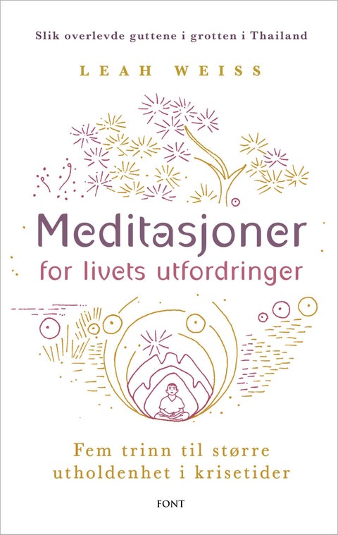 Meditasjoner for livets utfordringer - fem trinn til større utholdenhet i krisetider