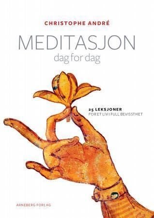 Meditasjon dag for dag - 25 leksjoner for et liv i full bevissthet