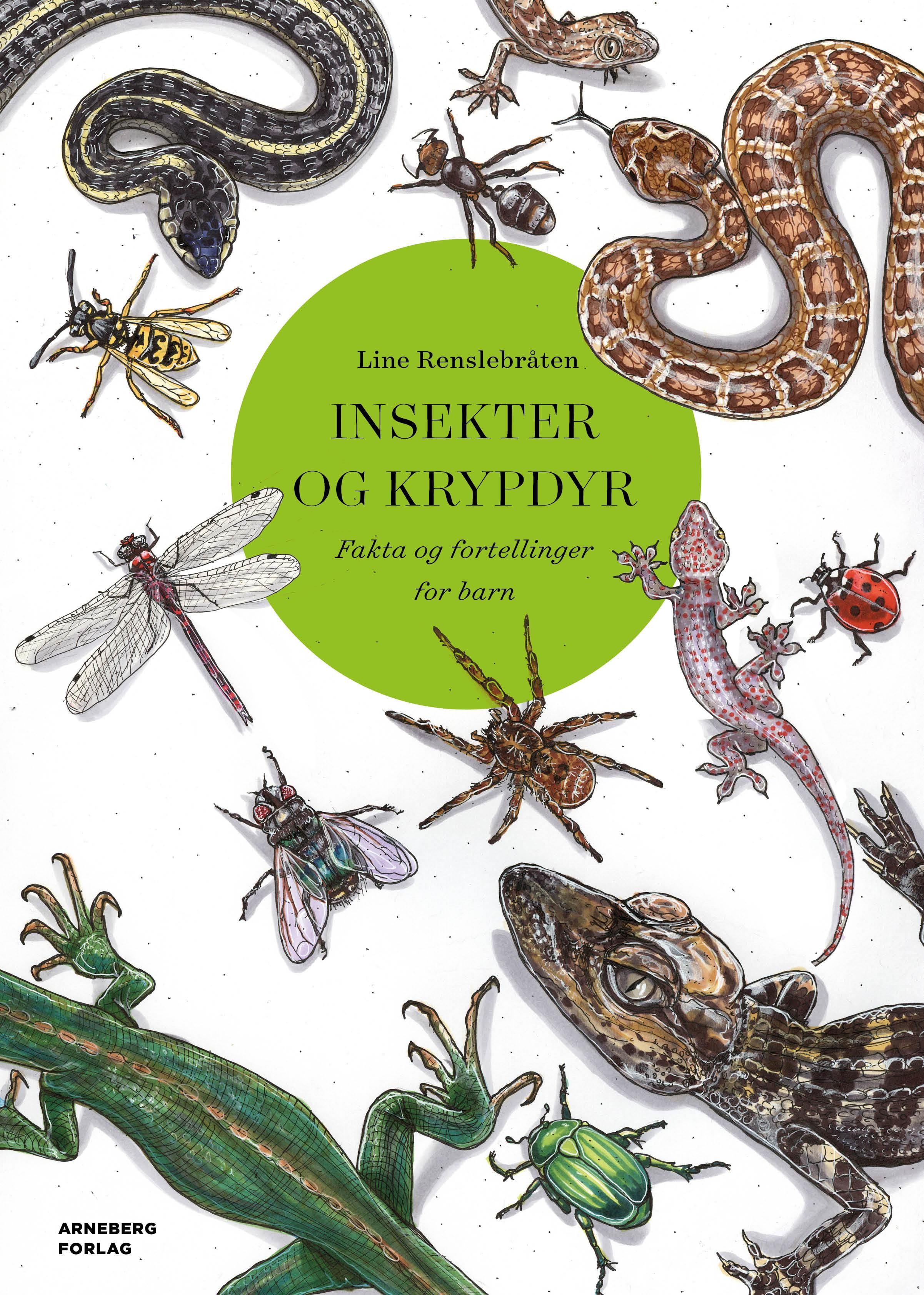 Insekter og krypdyr - fakta og fortellinger for barn
