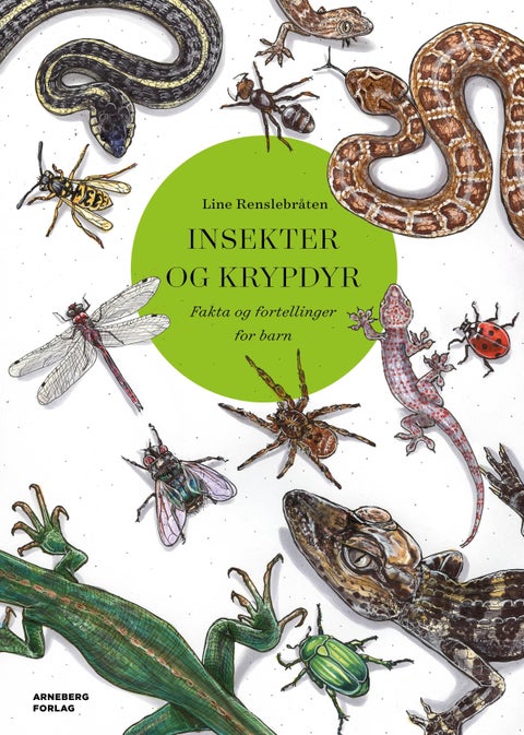 Insekter og krypdyr - fakta og fortellinger for barn