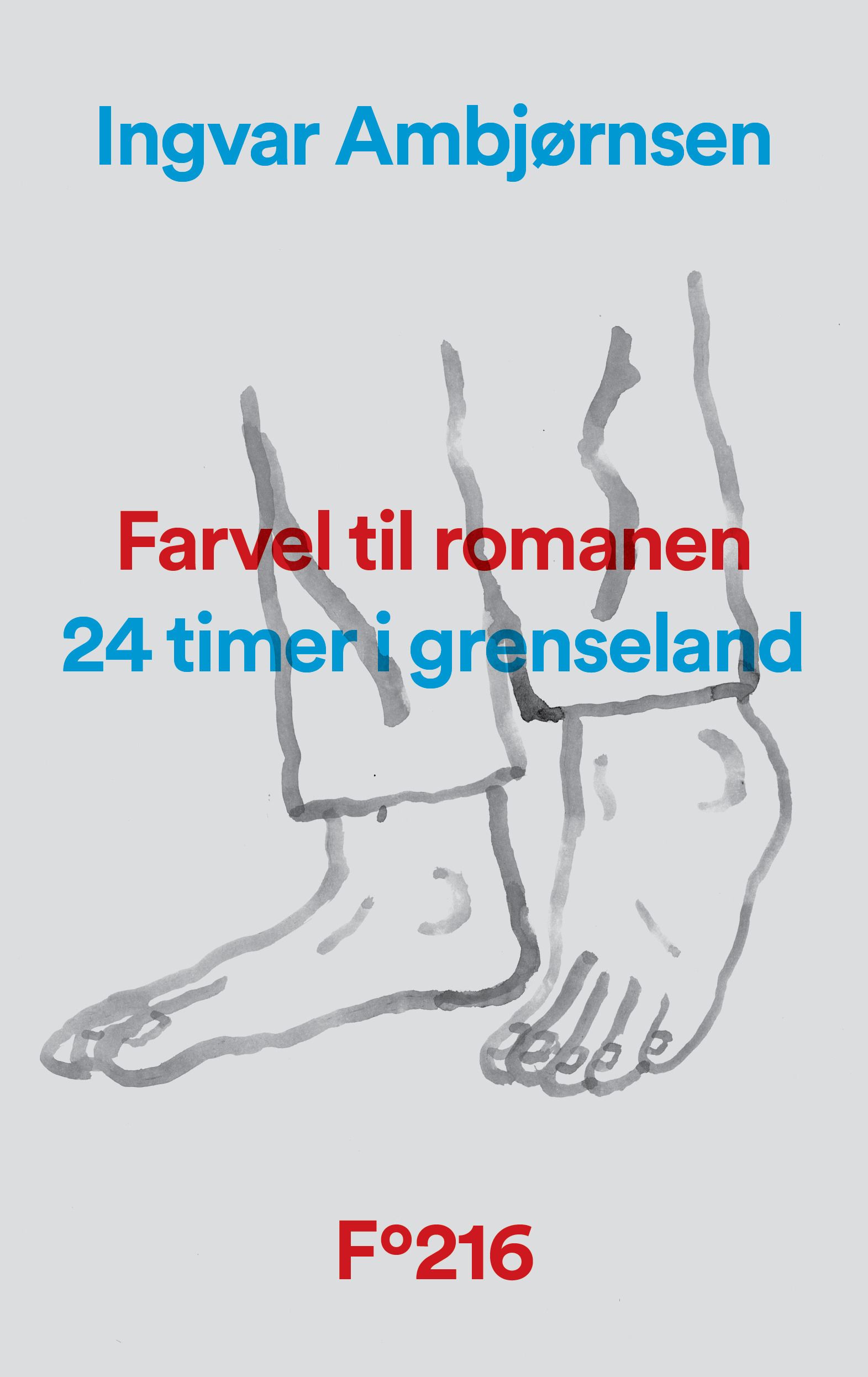 Farvel til romanen - 24 timer i grenseland