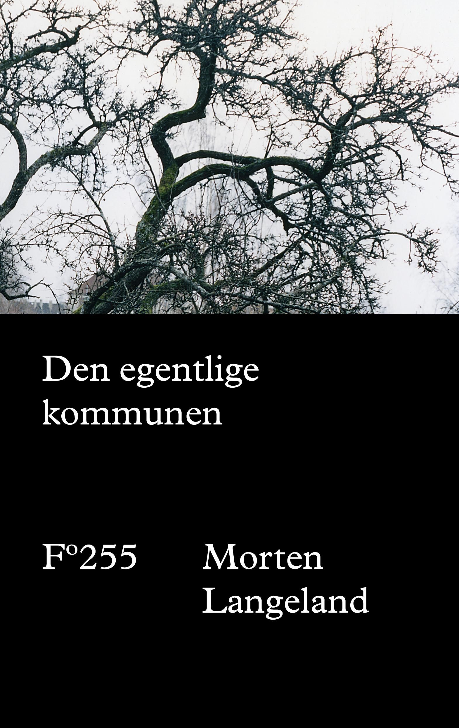 Den egentlige kommunen