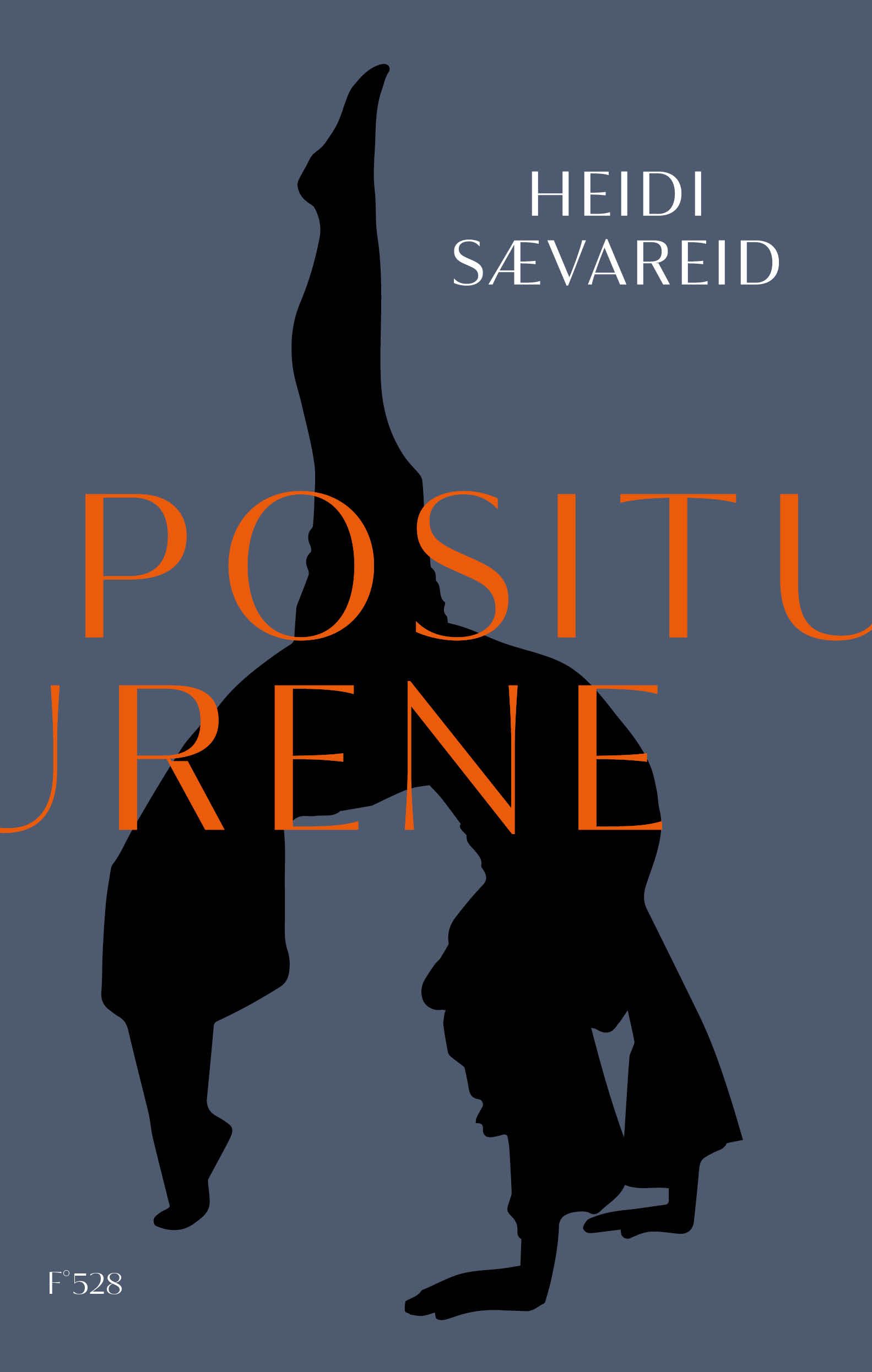 Positurene - roman