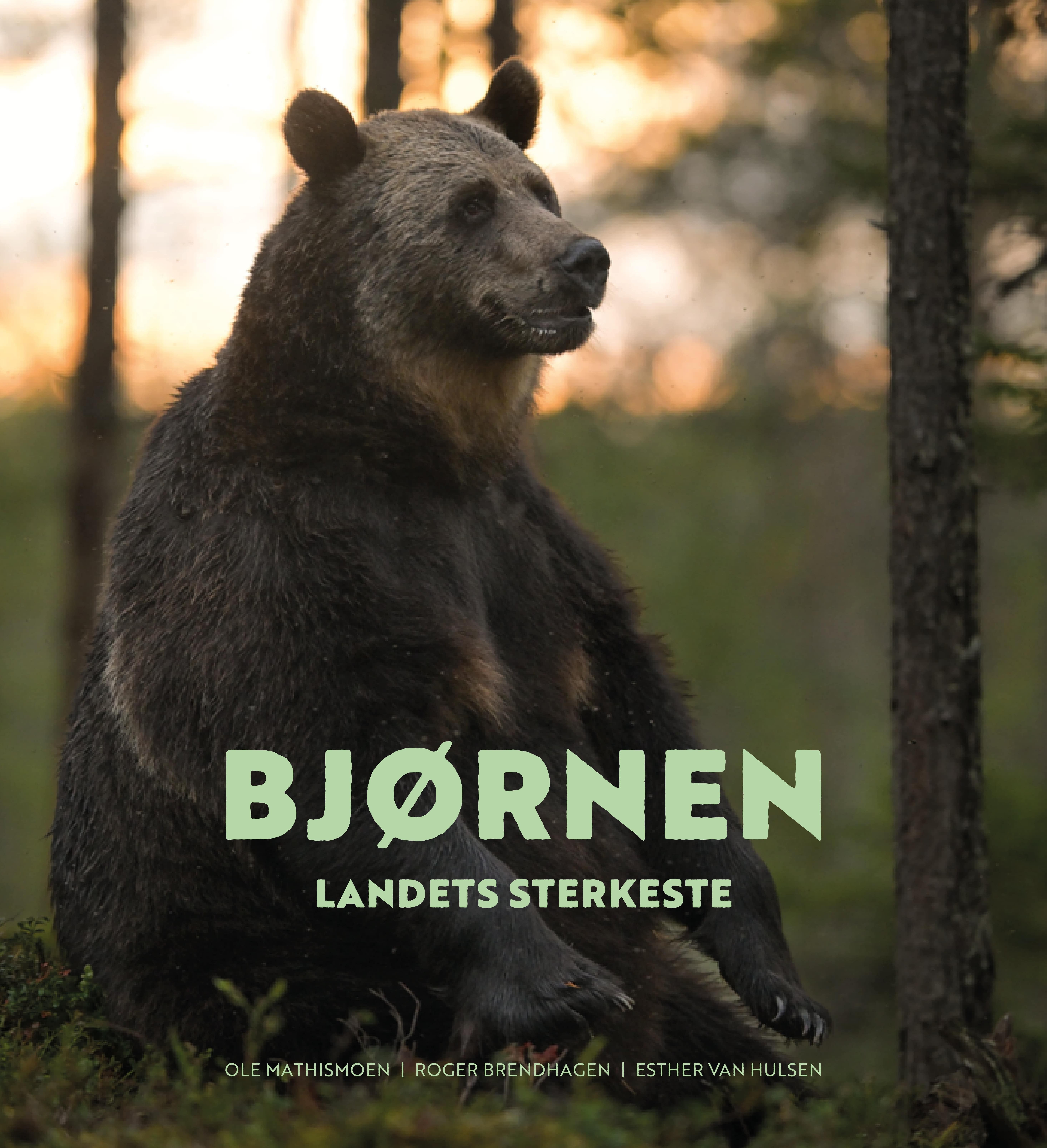 Bjørnen - landets sterkeste