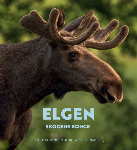 Elgen - skogens konge