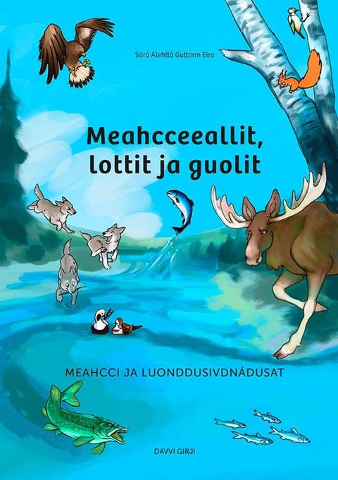 Meahcceeallit, lottit ja guolit