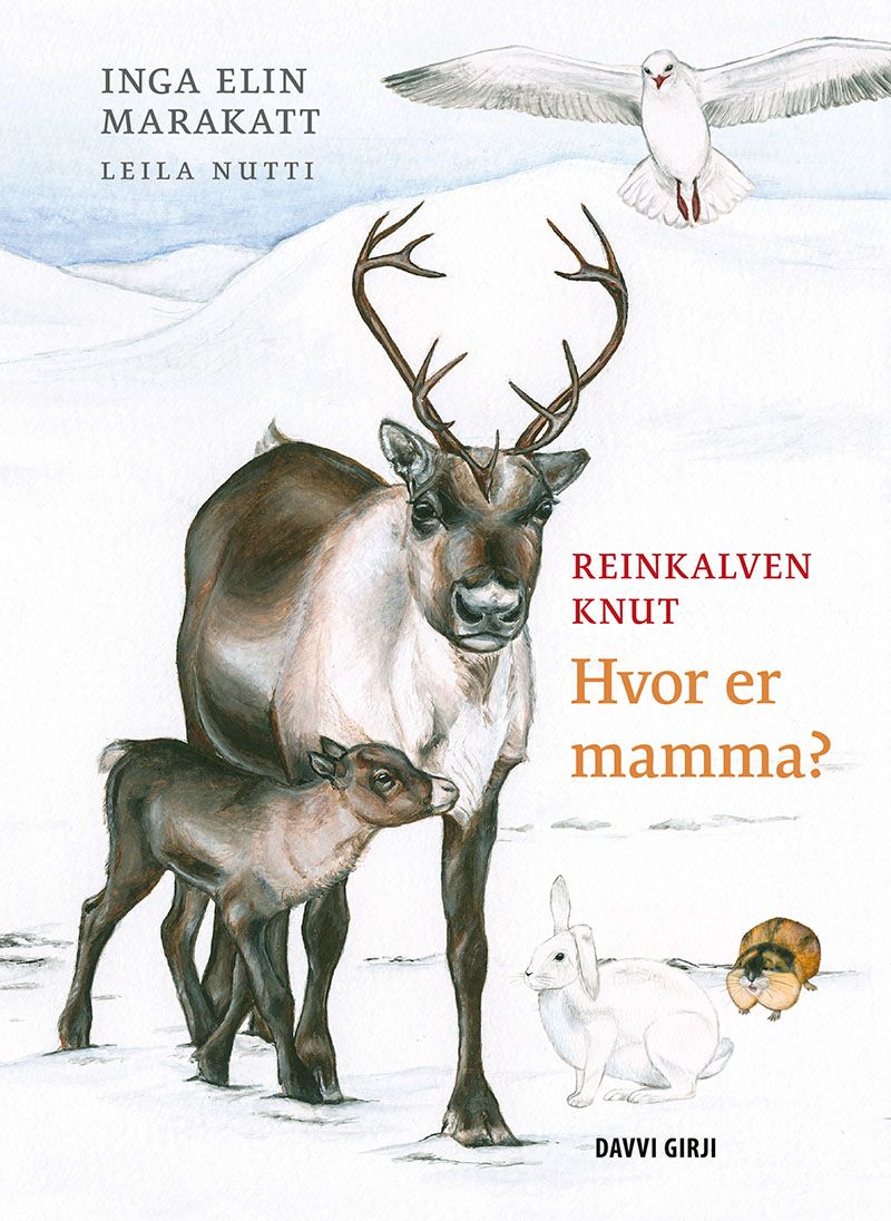 Reinkalven Knut - Hvor er mamma?