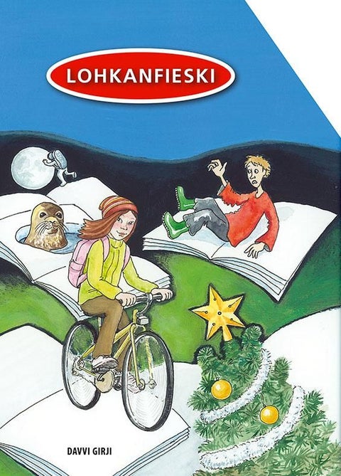 Lohkanfieski - dássi 2-4