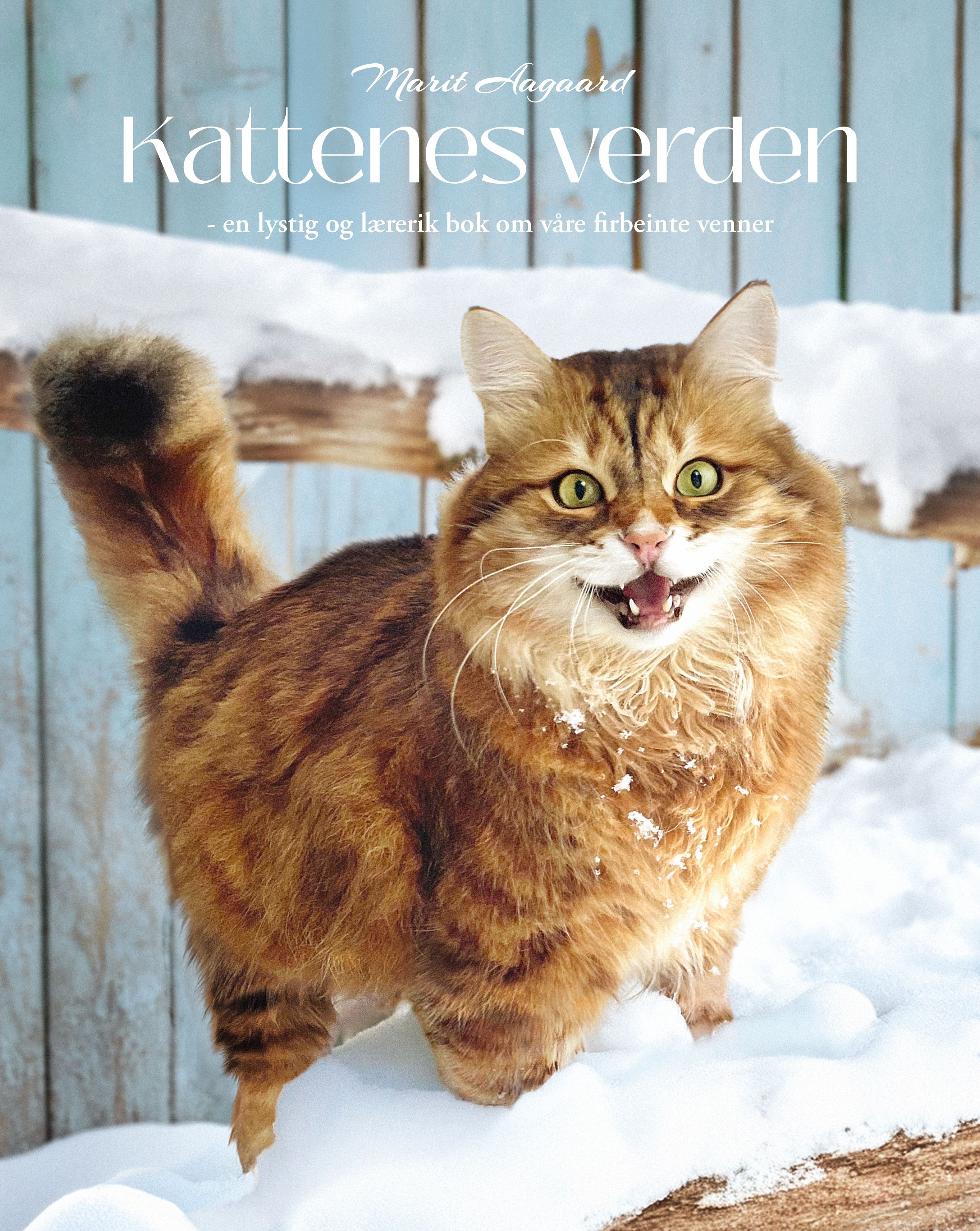 Kattenes verden - en lystig og lærerik bok om våre firbeinte venner