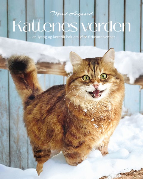 Kattenes verden - en lystig og lærerik bok om våre firbeinte venner