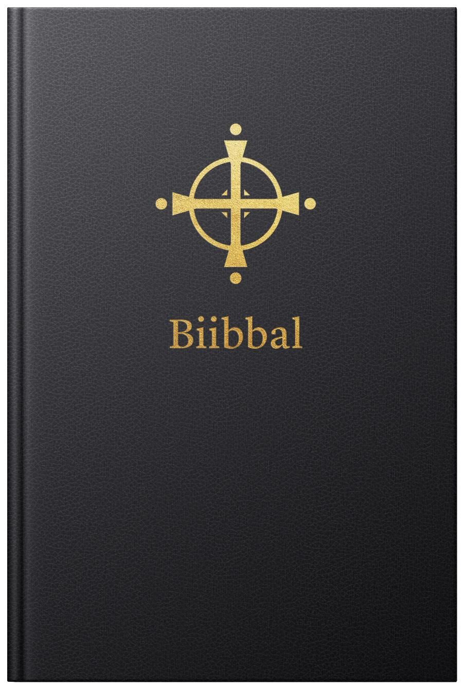 Biibbal - Bassi čala : Boares ja Ođđa testamenta