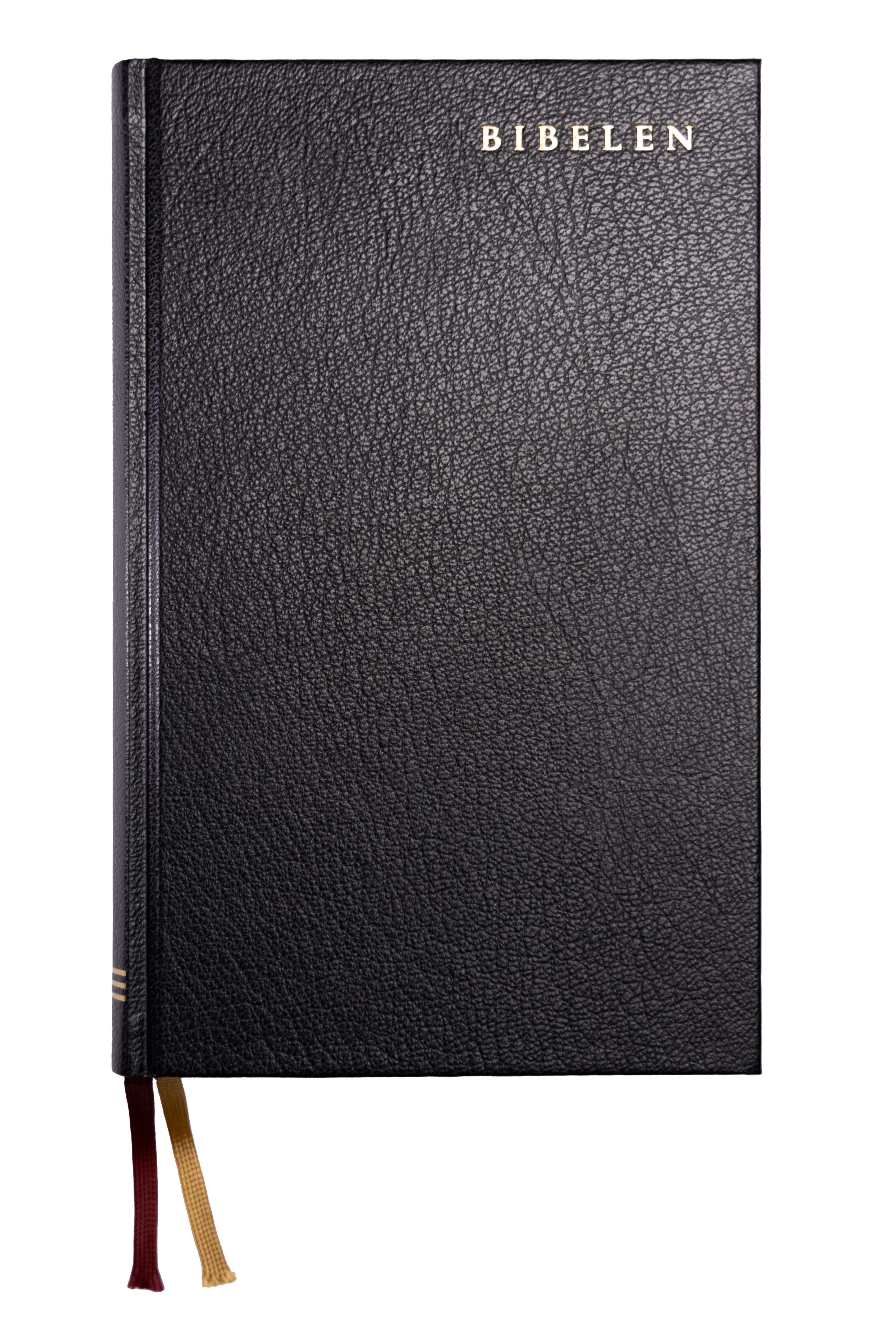 Bibelen, eller Den hellige skrift - det gamle og det nye testamentes kanoniske bøker