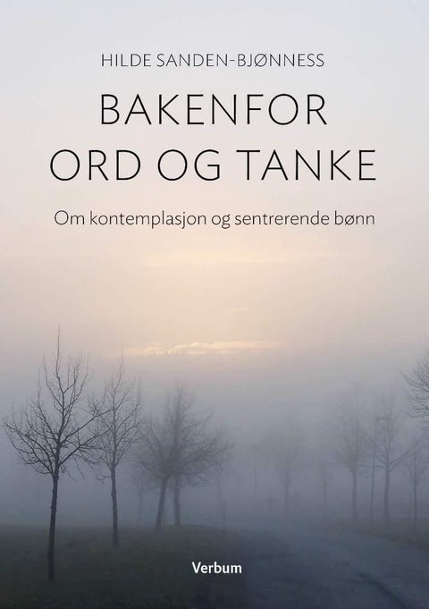 Bakenfor ord og tanke - om kontemplasjon og sentrerende bønn