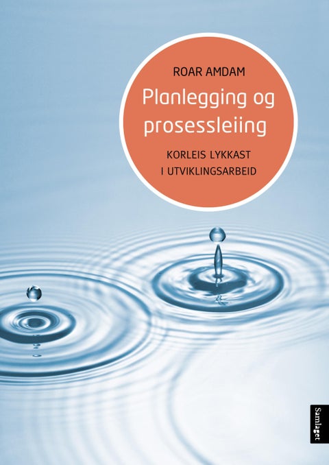 Planlegging og prosessleiing - korleis lykkast i utviklingsarbeid