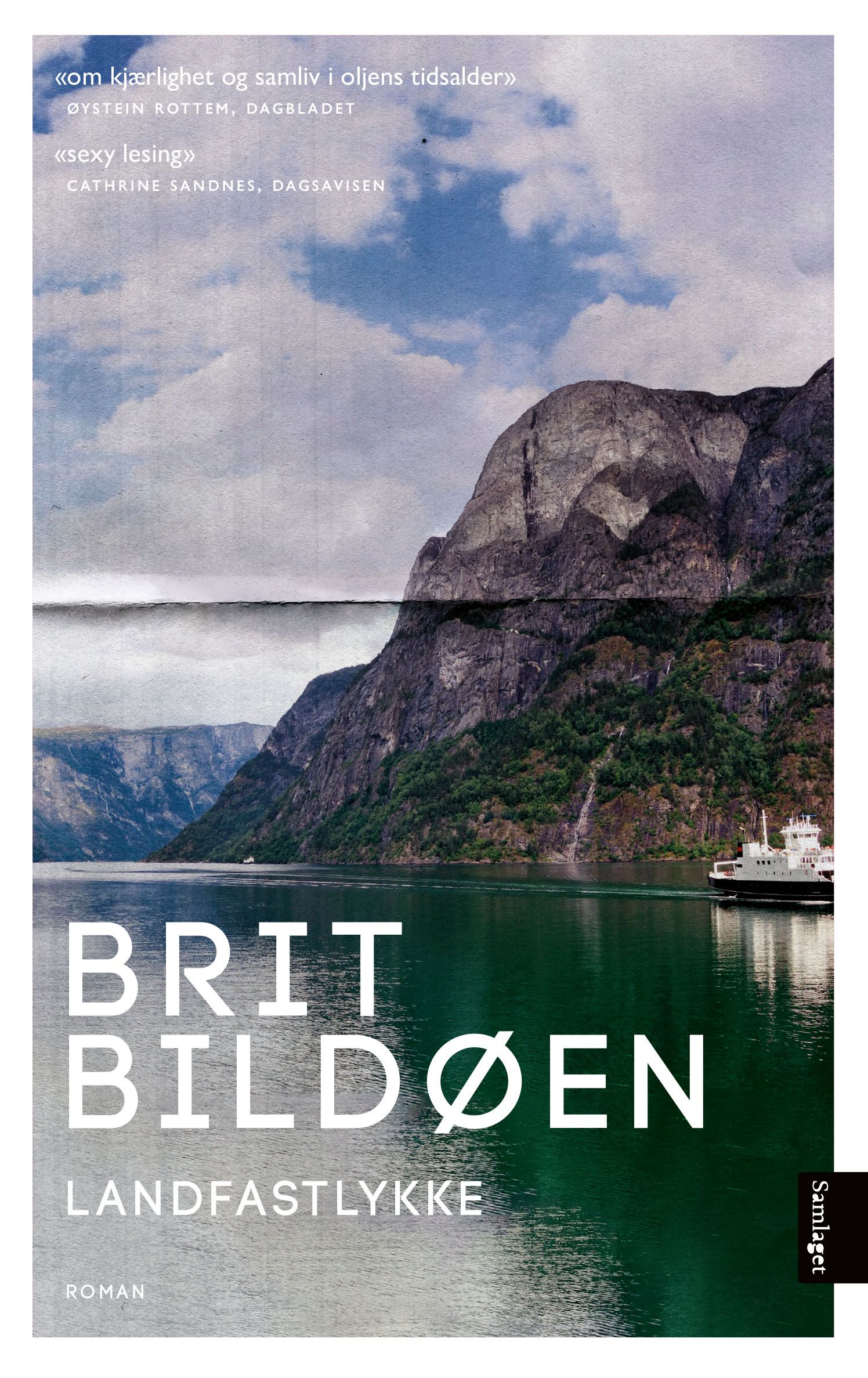 Landfastlykke - roman