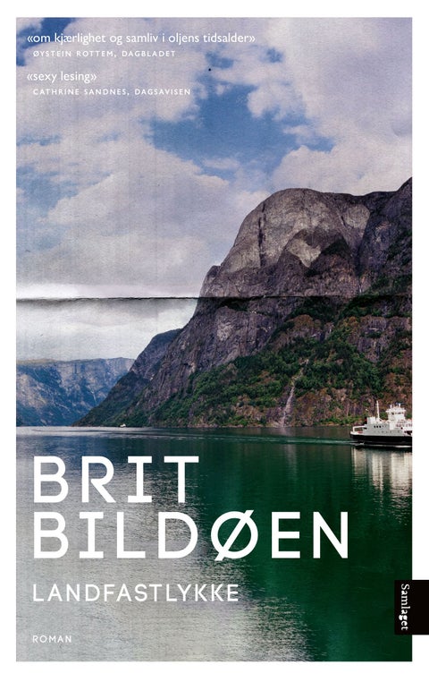 Landfastlykke - roman