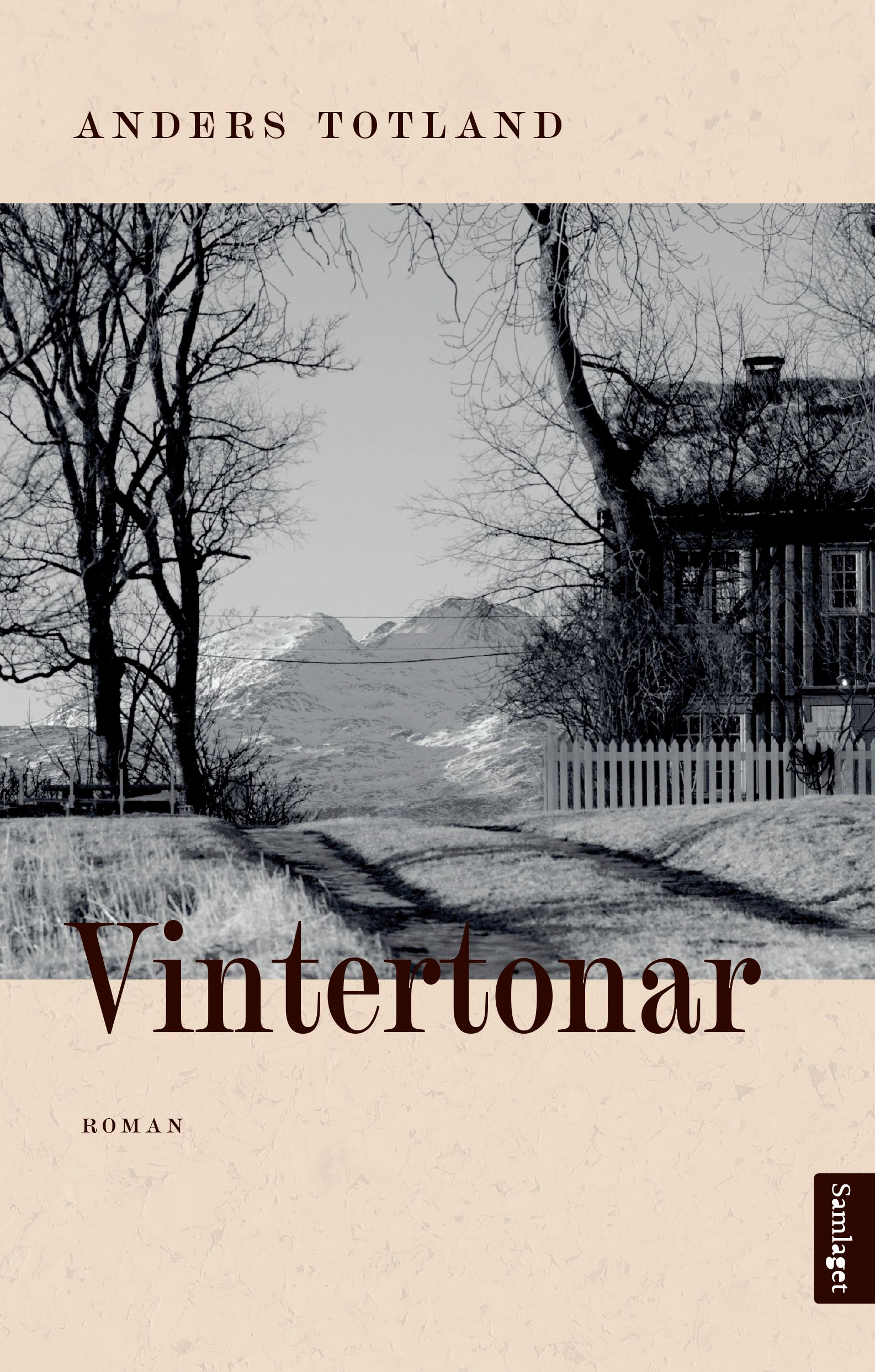 Vintertonar - roman
