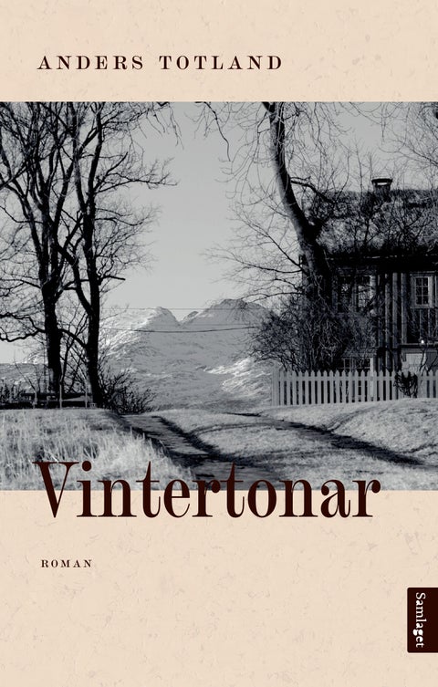 Vintertonar - roman