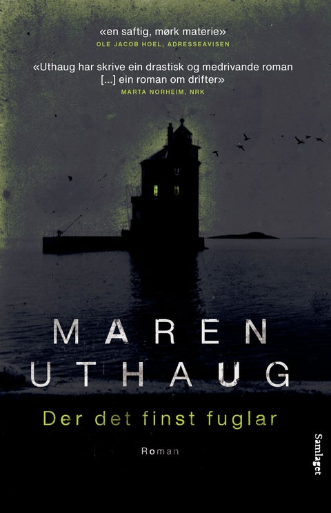 Der det finst fuglar - roman