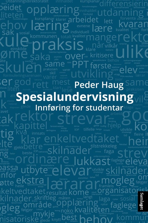 Spesialundervisning - ei innføring