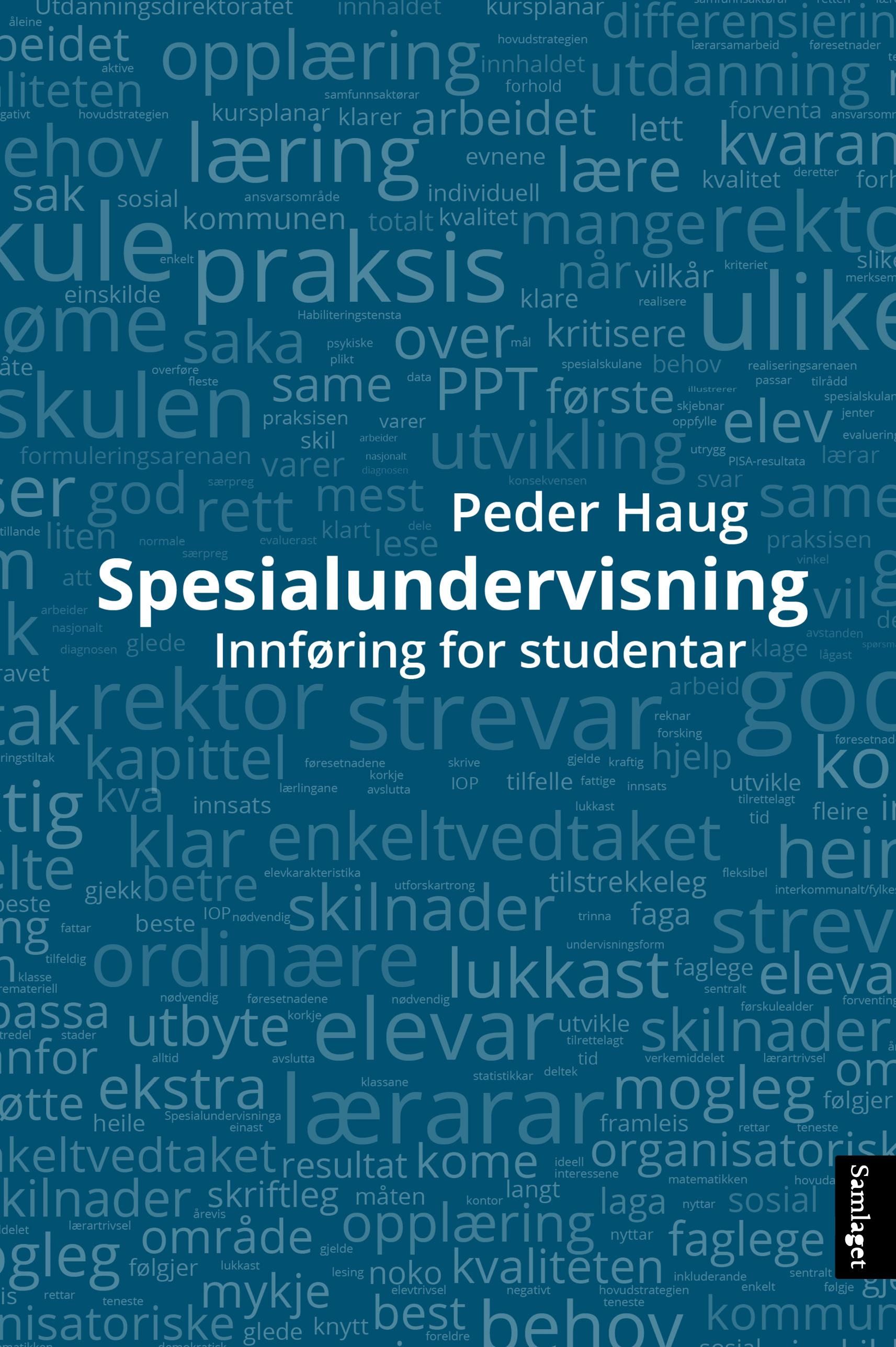 Spesialundervisning - ei innføring