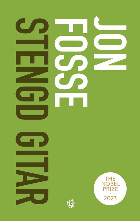 Stengd gitar - roman