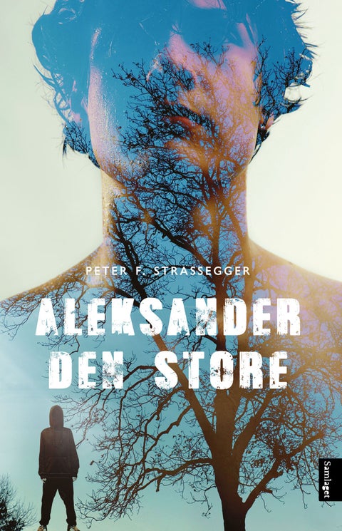 Aleksander den store - roman