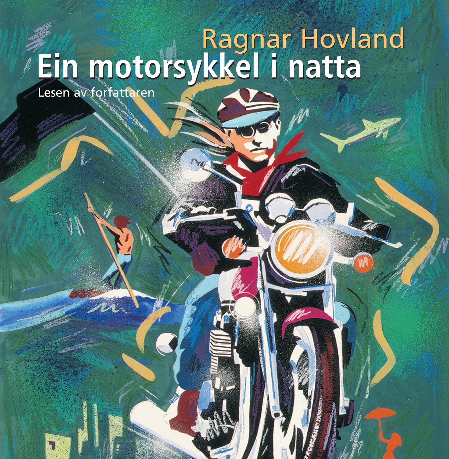 Ein motorsykkel i natta - roman