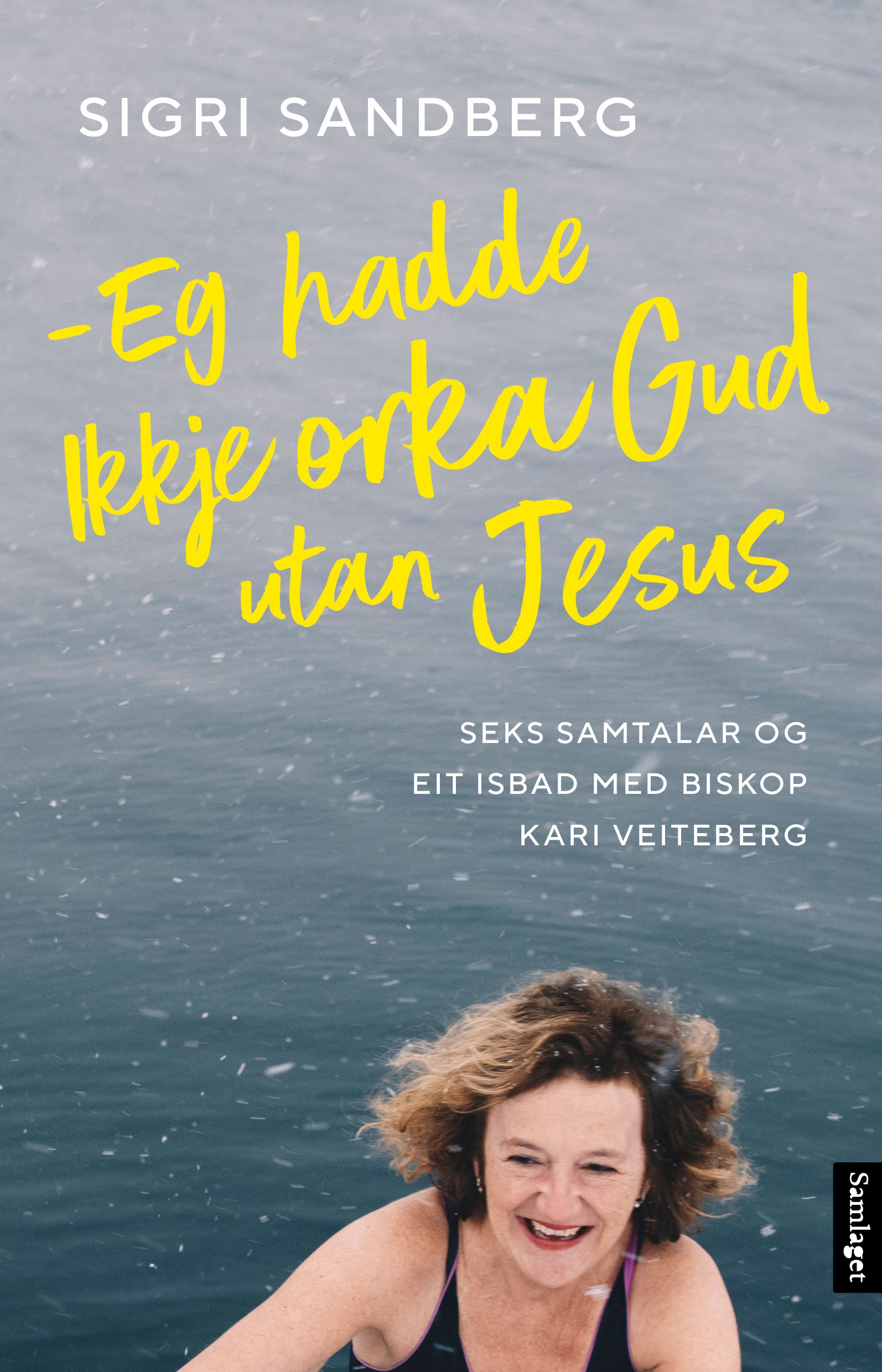 Eg hadde ikkje orka Gud utan Jesus - seks samtalar og eit isbad med biskop Kari Veiteberg