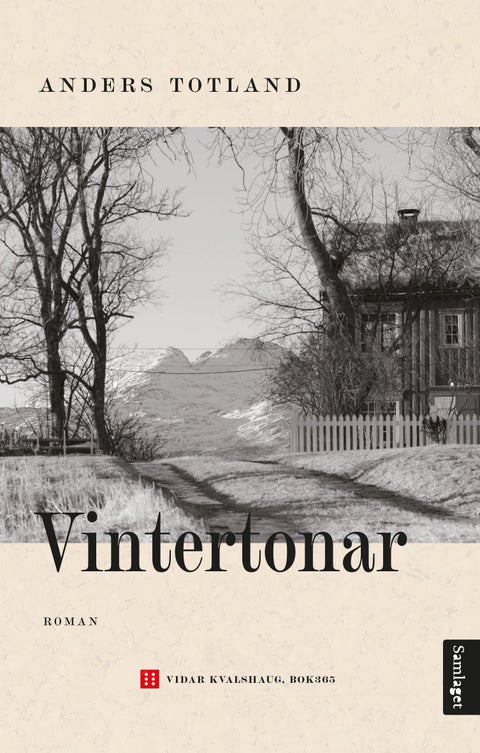 Vintertonar - roman