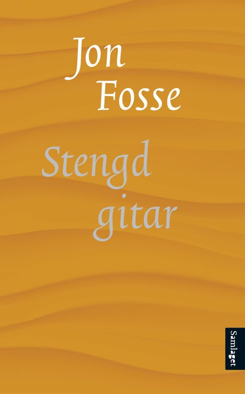 Stengd gitar - roman