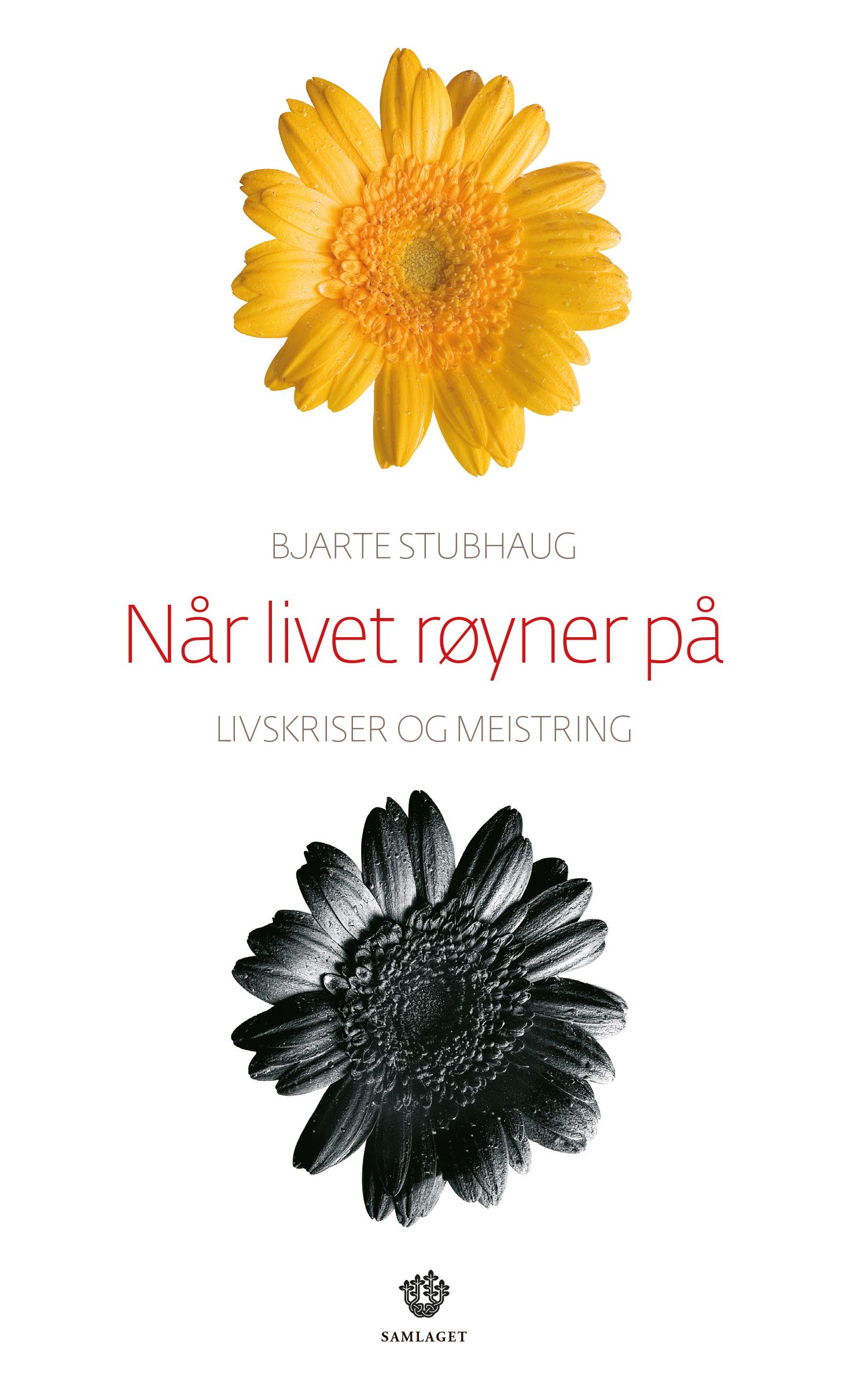 Når livet røyner på - livskriser og meistring