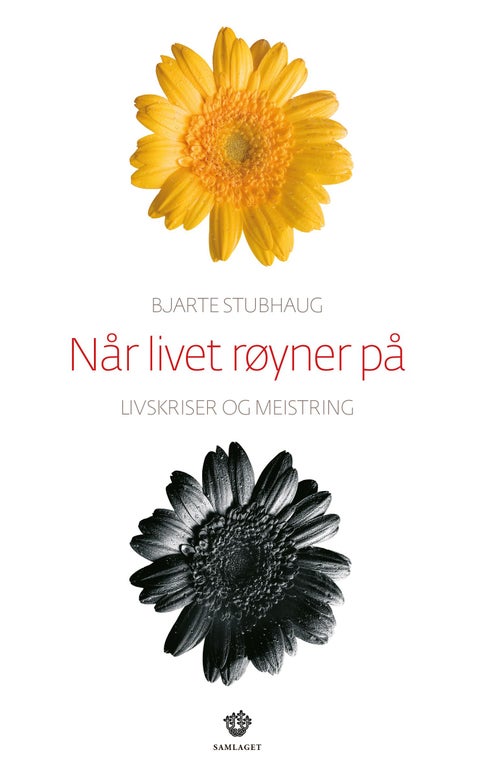Når livet røyner på - livskriser og meistring