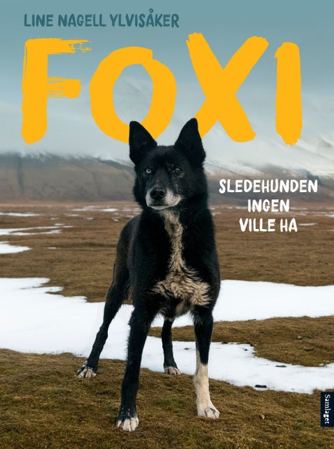 Foxi - sledehunden ingen ville ha