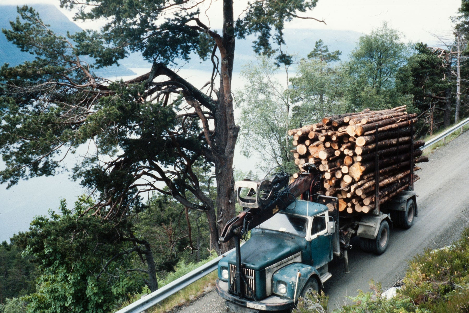 Fleire vestlandsvegar