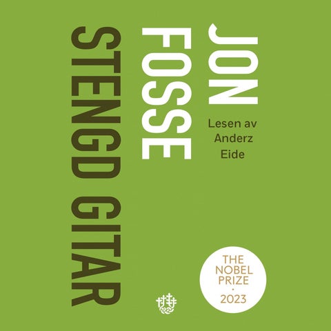 Stengd gitar - roman