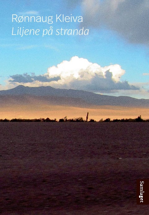 Liljene på stranda - roman