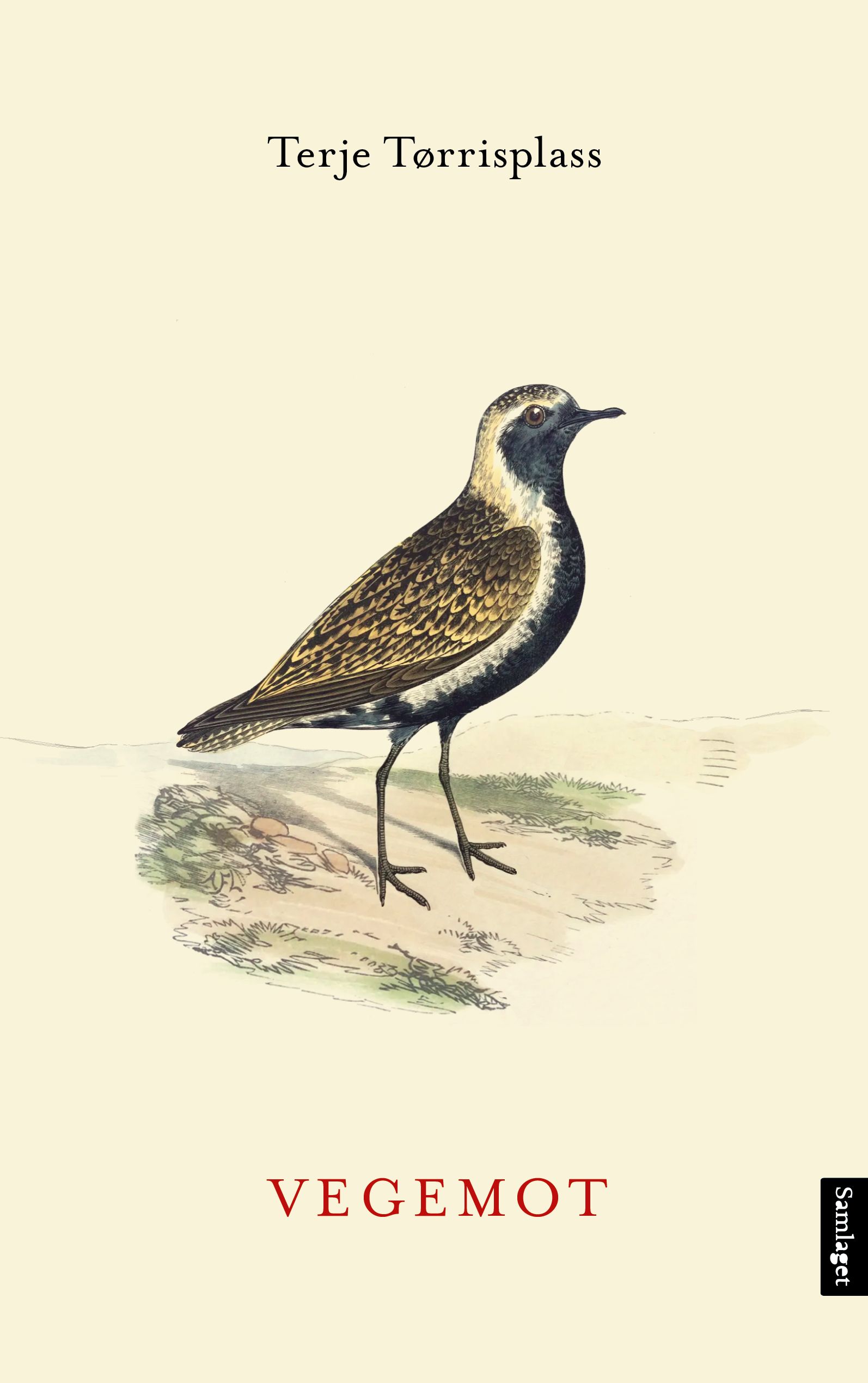 Vegemot - dikt