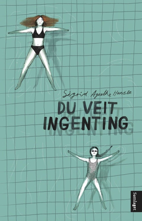Du veit ingenting - roman