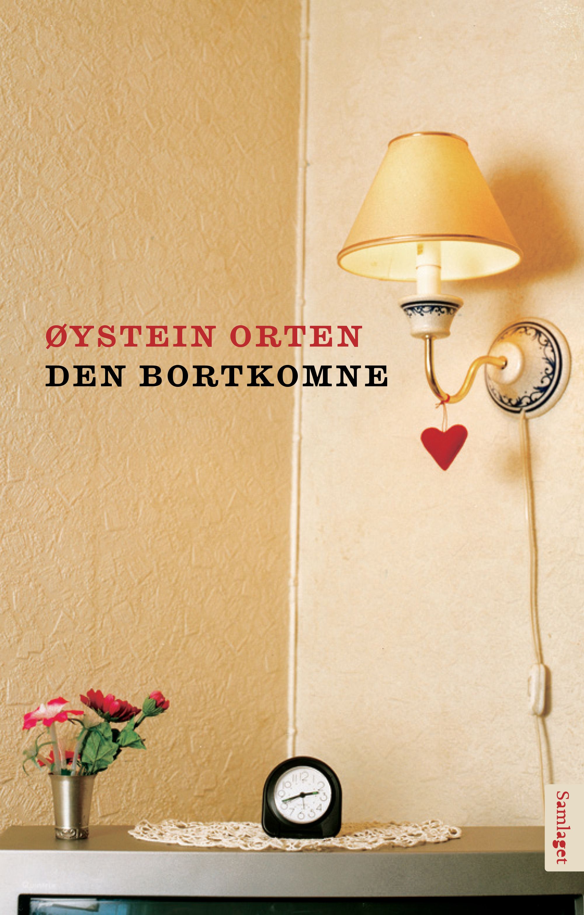 Den bortkomne - roman