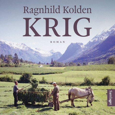 Krig - roman