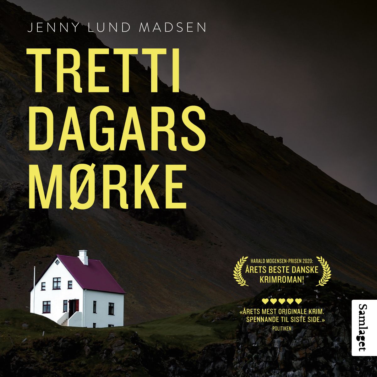 Tretti dagars mørke - kriminalroman
