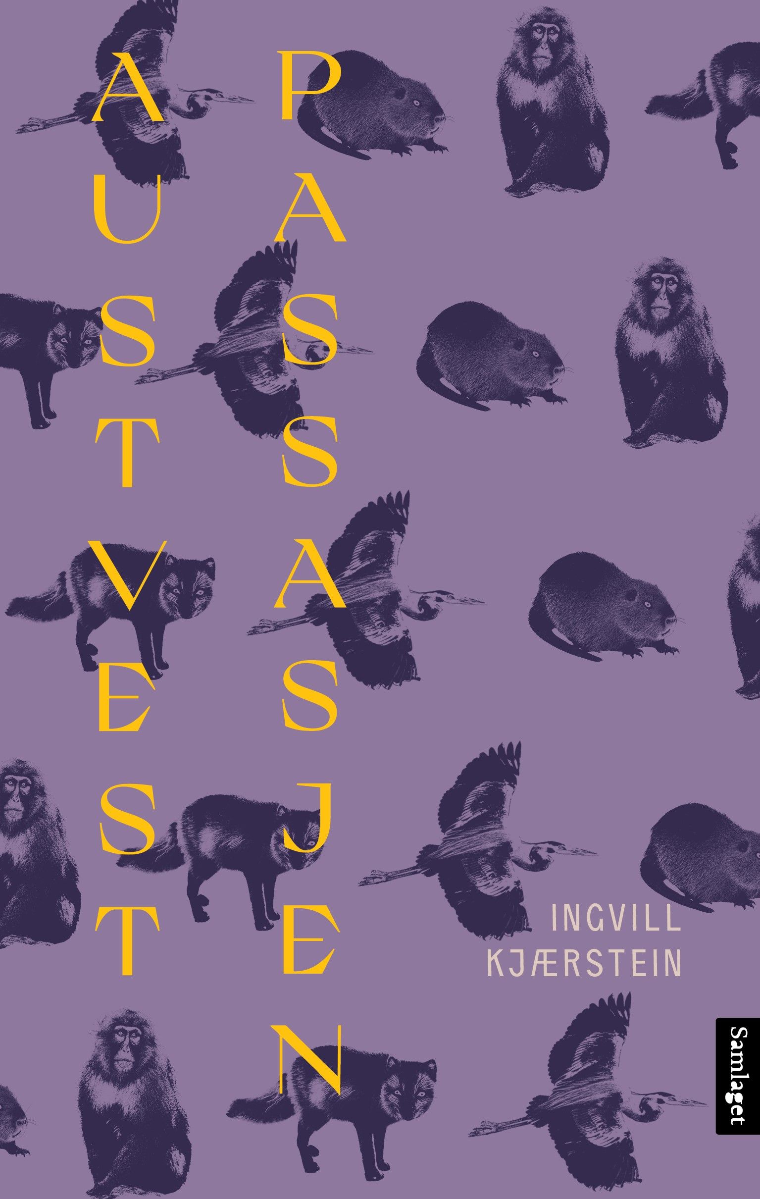 Austvestpassasjen - roman